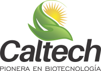 Caltech